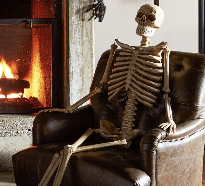 Pottery Barn Halloween - Skeleton