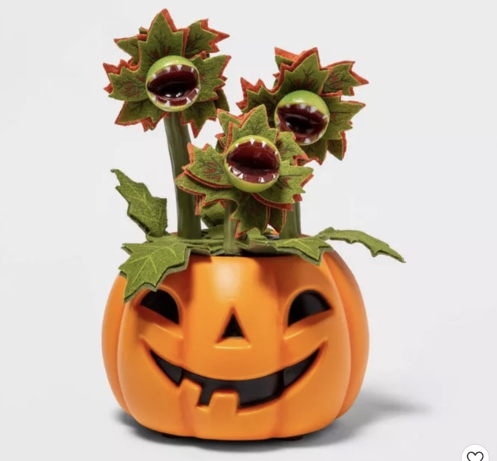 Target Halloween Hyde and Eek 2021 - Succulent