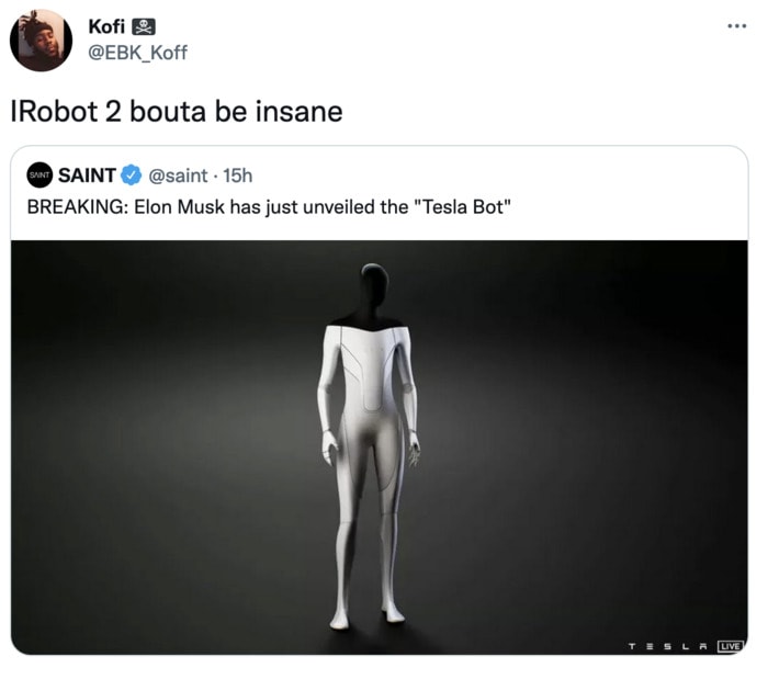 Tesla Bot Memes - iRobot2