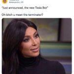 Tesla Bot Memes - Terminator