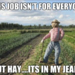 Fall Puns - Hay, it's in my Jeans