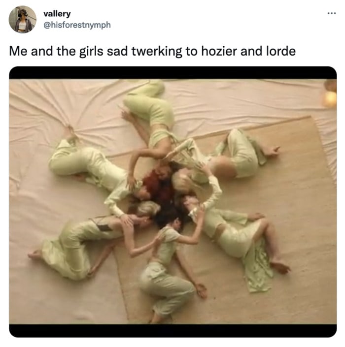 Lorde Memes - Lorde Mood Ring Music Video Tweets