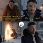 Fine I Won't Meme - plagiarizing