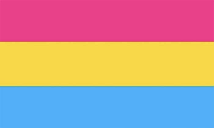 What is Pansexuality - flag