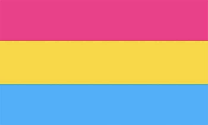 What is Pansexuality - flag