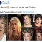 Hocus Pocus Memes - Phone backdrops