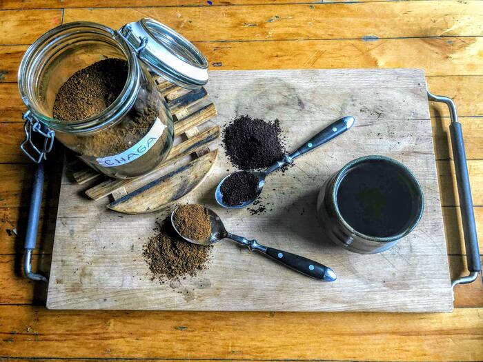 Mushroom Coffee - Chaga cup