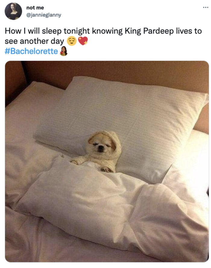 Bachelorette Michelle Tweets & Reactions