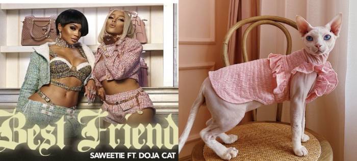 Cat Halloween Costumes - Saweetie Doja Cat best friend