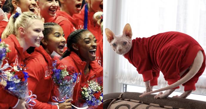 Cat Halloween Costumes - Team USA