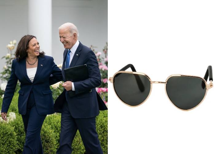 Cat Halloween Costumes - Kamala Harris Joe Biden