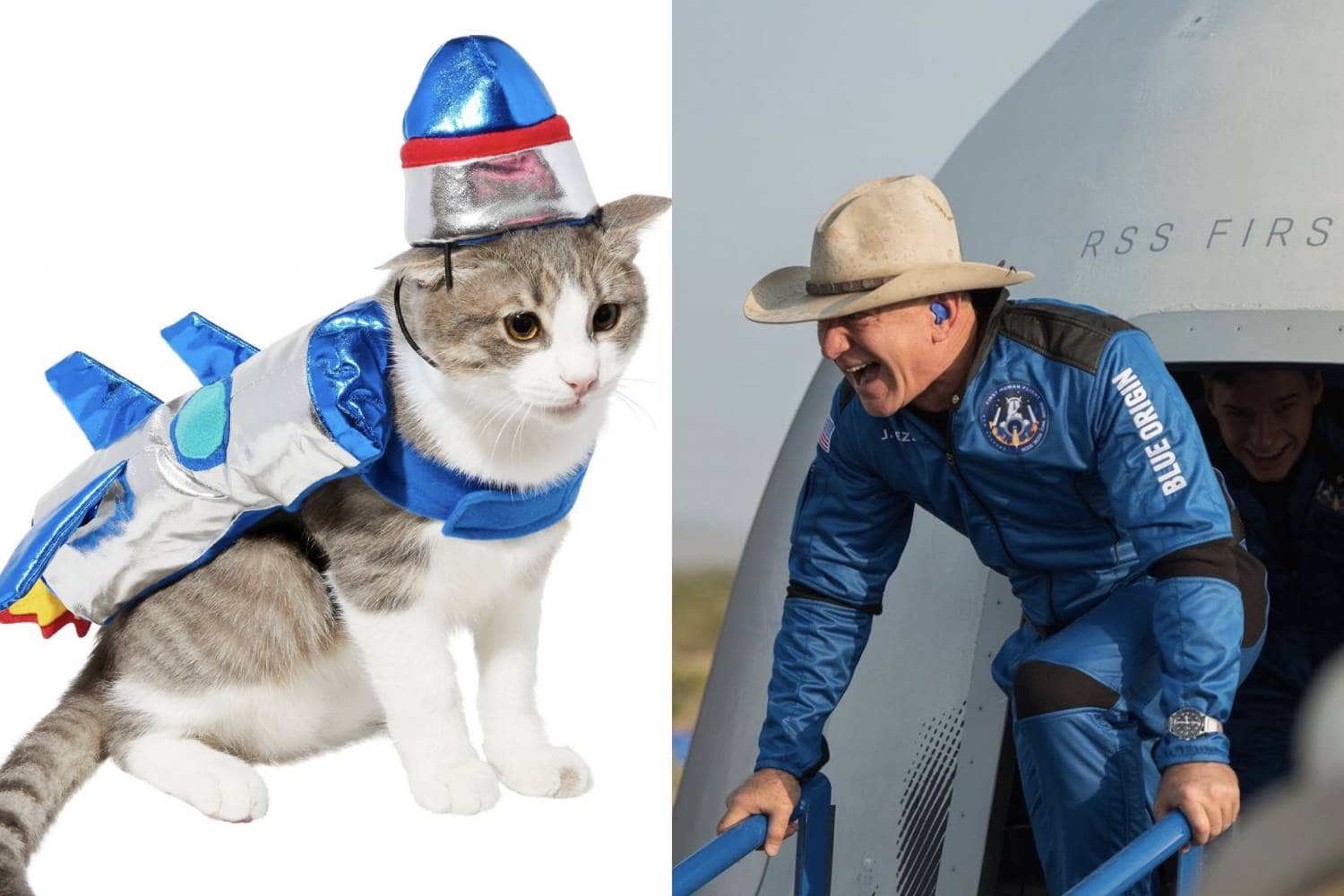 7 Cat Halloween Costumes For Your Furry Feline Let S Eat Cake
