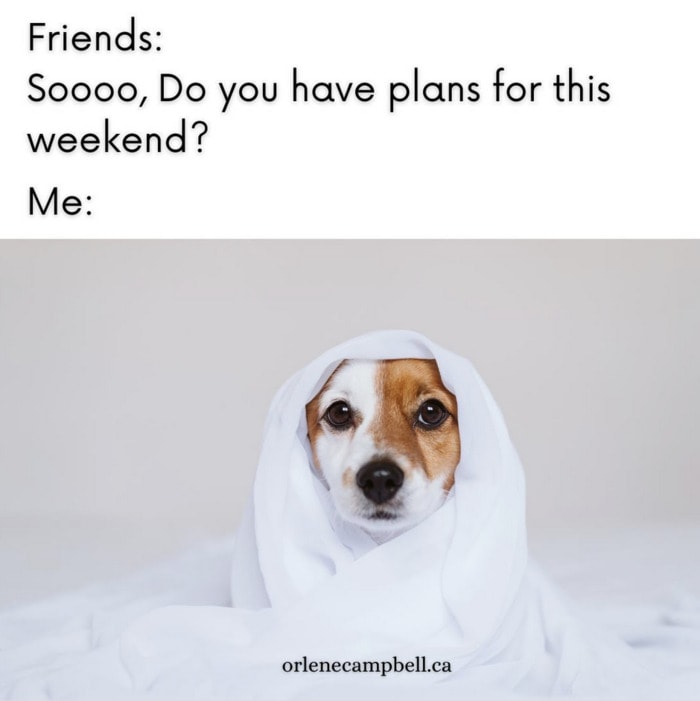 Friday Meme - weekend plans