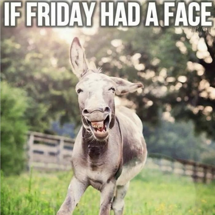 Friday Meme - face