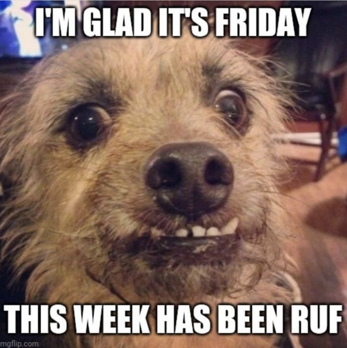 Friday Meme - ruff week