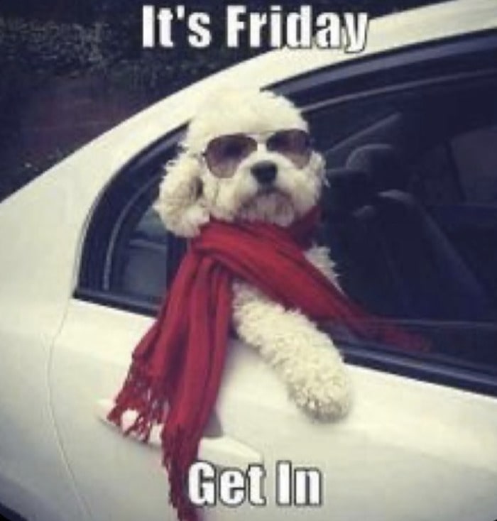 Friday Meme - Get in