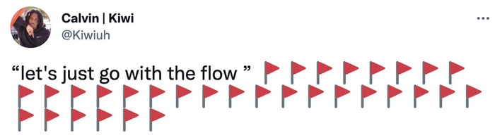 red flag meme - go with the flow
