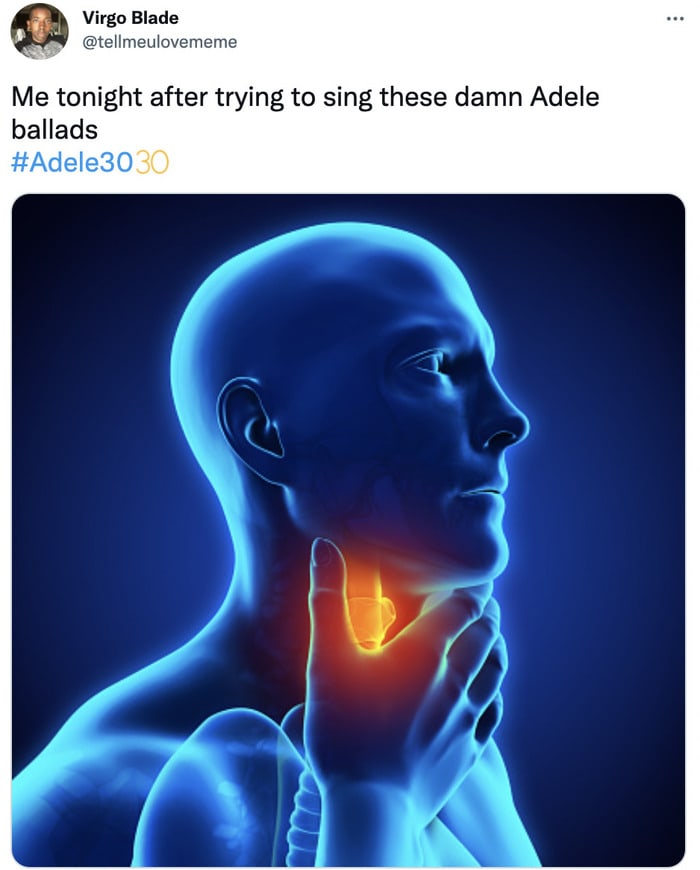 Adele 30 Memes and Tweets Reactions - trying to sing ballads