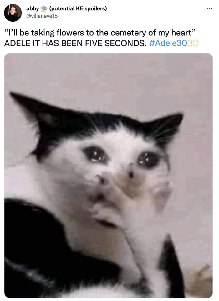 Adele 30 Memes and Tweets Reactions - cat crying