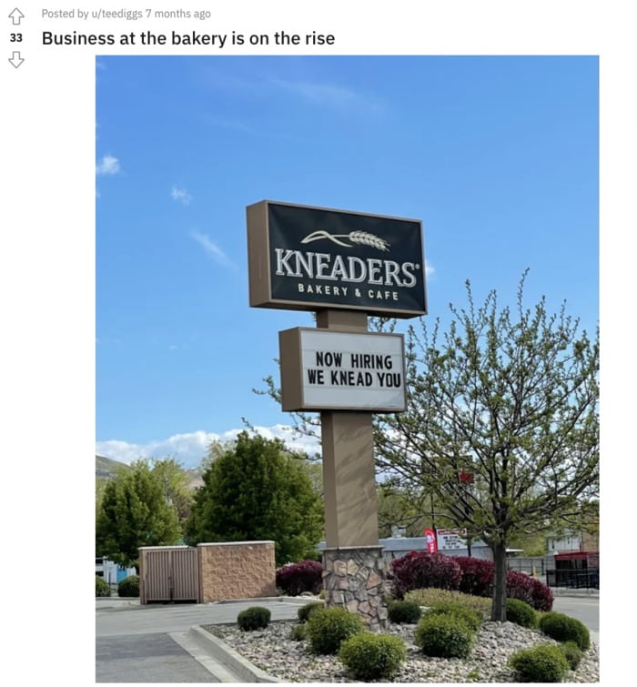 Baking Puns - Kneaders