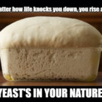 Baking Puns - yeast's in your nature