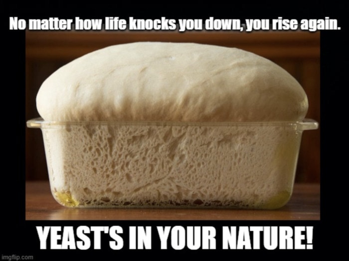Baking Puns - yeast's in your nature