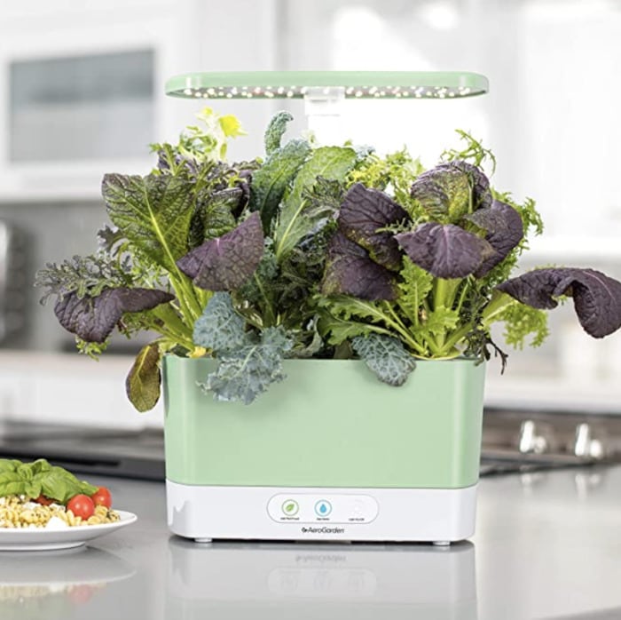 Black Friday Deals on Amazon - AeroGarden Indoor Garden