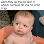 Thanksgiving Memes - pumpkin pie