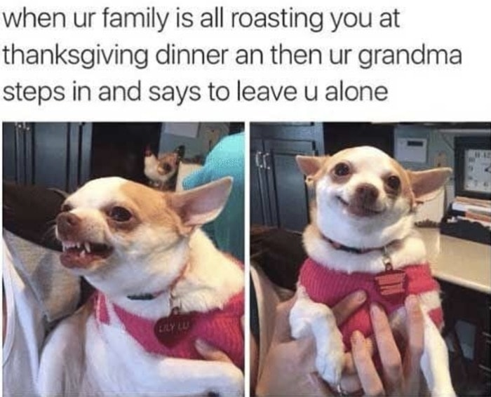 Thanksgiving Memes - grandma