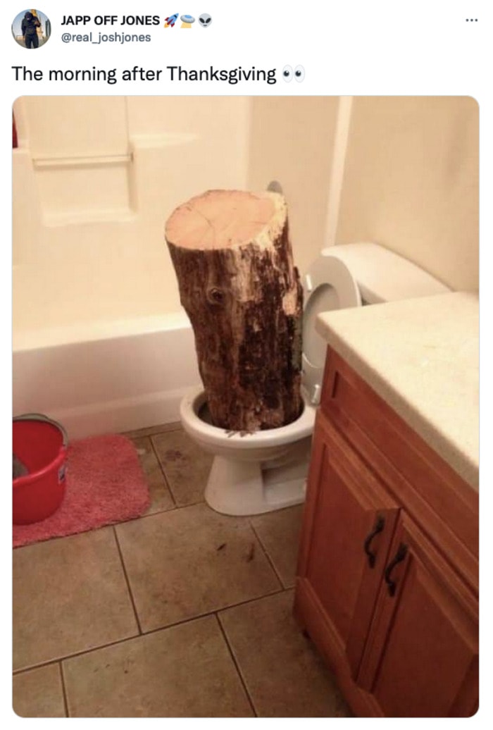 Thanksgiving Memes - log