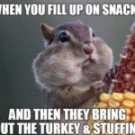 Thanksgiving Memes - snacks
