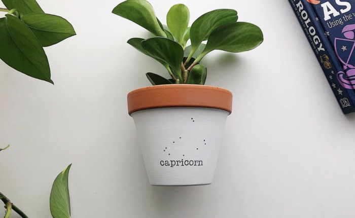 Capricorn Gifts - Potted Plant