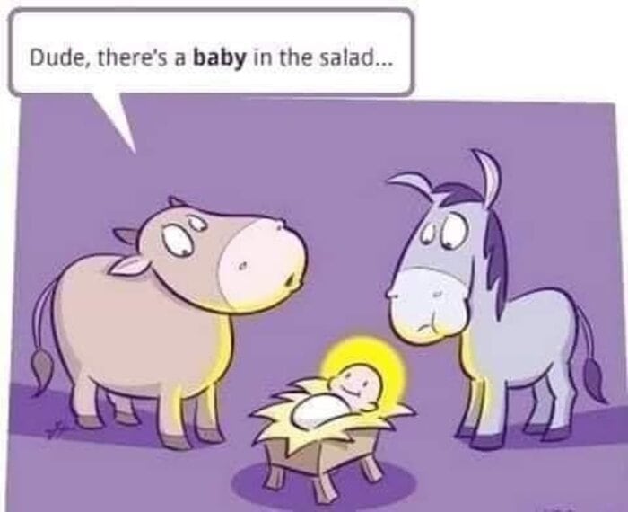 Christmas Memes - Jesus in manger