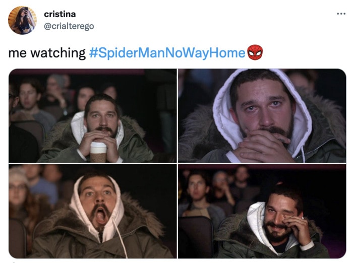 Spiderman Memes No Way Home - Shia Lebouf