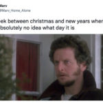 Days Between Christmas and New Years Memes - Home Alone Marv