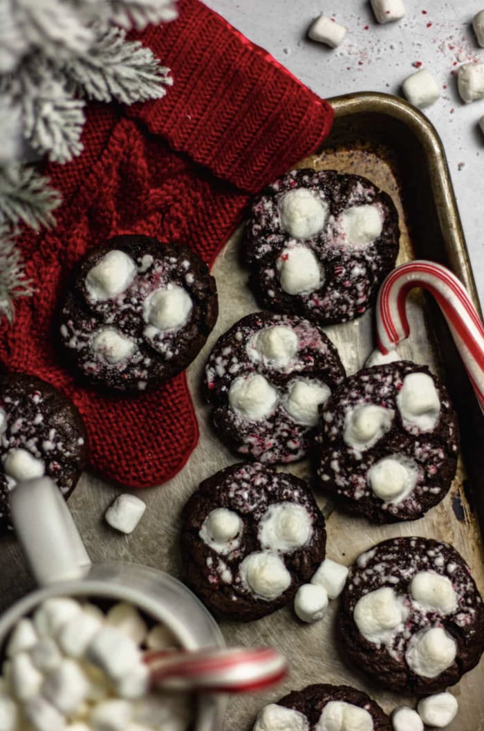 Popular Christmas Cookie in Each State - hot chocolate cookies