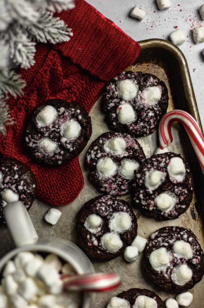 Popular Christmas Cookie in Each State - hot chocolate cookies