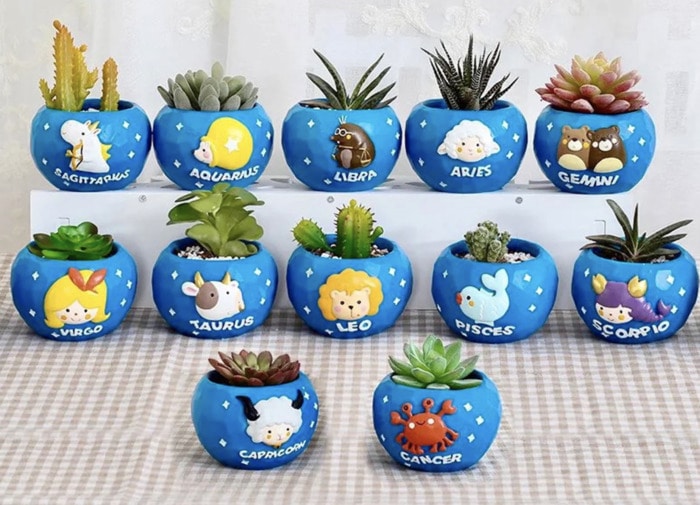 Aquarius Gifts - Zodiac Lover Planters