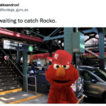 Elmo Rocco Memes - elmo NY Yankees hat