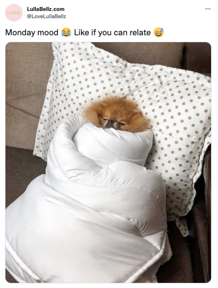 29 Best Monday Memes for the Worst Day of the Week - Let's Eat Cake 29 Best Monday Memes for the Worst Day of the Week - Let's Eat Cake