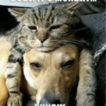 Monday Memes - Dude it's Monday