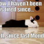 Monday Memes - haven't been this tired since last Monday