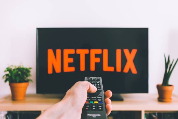Cost of Subscription Services - Netflix
