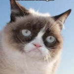 Hump Day Memes - middle finger of the week