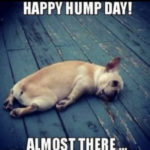 Hump Day Memes - almost there