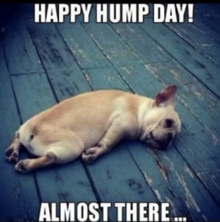 Hump Day Memes - almost there