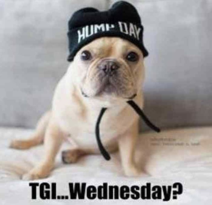 Hump Day Memes - TGI Wednesday