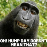 Hump Day Memes - Hump Day Doesn't Mean That