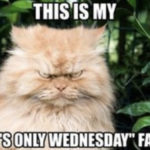 Hump Day Memes - only Wednesday