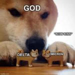 2022 Memes - Deltacron memes